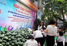 Ngày chạy Olympic vì sức khỏe toàn dân